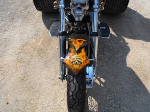 custom trike front fender